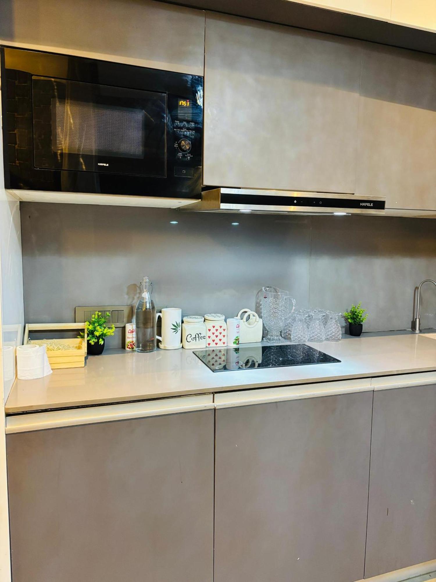 Apartment Alpha